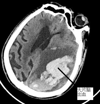 20230306103114_21148.jpg 20230306103114_21148.jpg