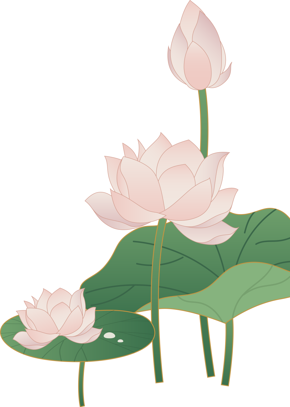 20240428105329_61376.jpg 20240428105329_61376.jpg