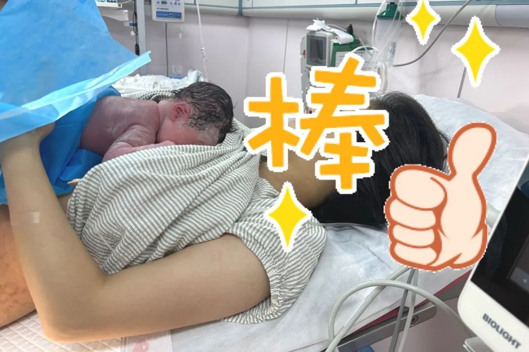 20240812154928_23150.jpg 20240812154928_23150.jpg