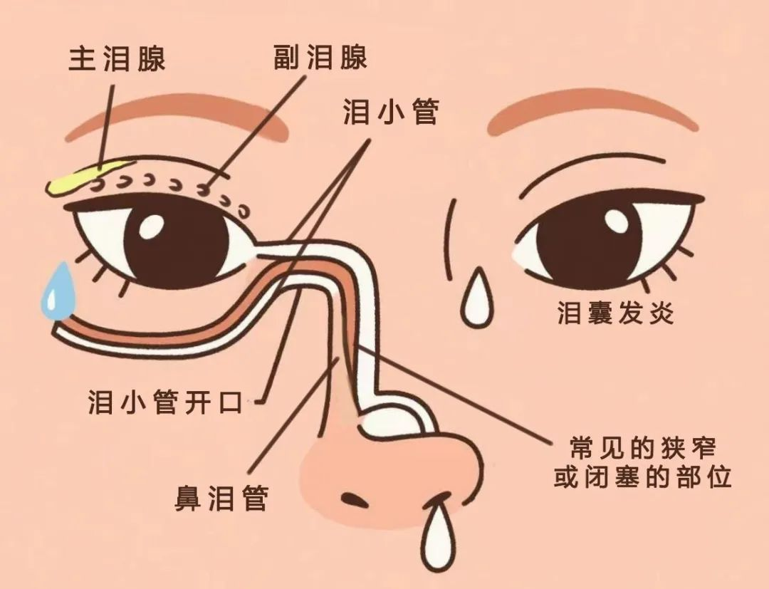 1753664815628739.png 1753664815628739.png